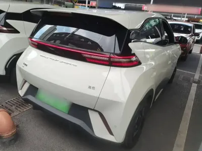BYD Seagull
