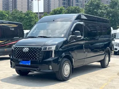 Maxus V80