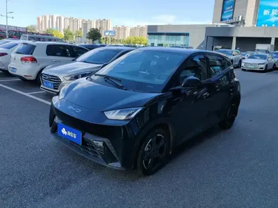 BYD Seagull