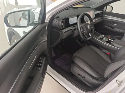 BYD Pro New Energy