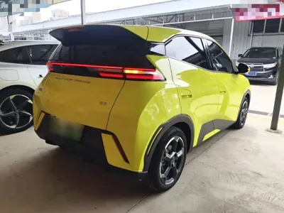 BYD Seagull