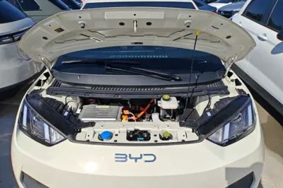 BYD Seagull