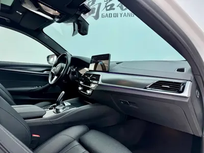 BMW 5 Series (Import)