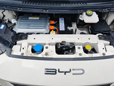 BYD Seagull