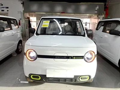 Geely Galaxy Panda