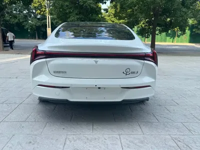 NETA Neta S