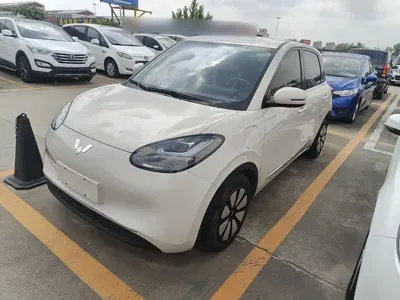 Wuling Bingo