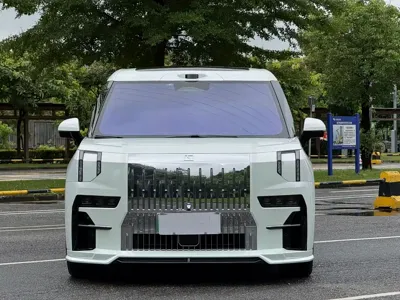Zeekr 009