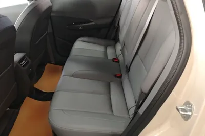 Dongfeng NAMMI 06