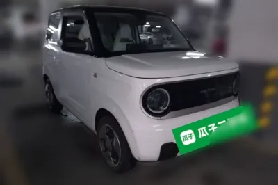 Geely Galaxy Panda