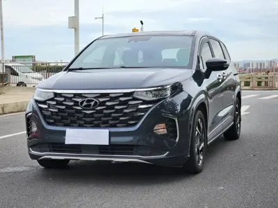 Hyundai Custo