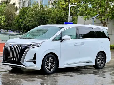 Denza Denza D9