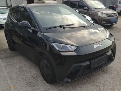 BYD Seagull