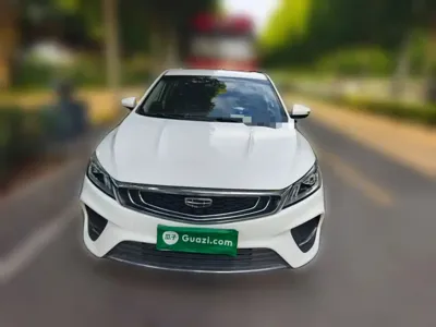 Geely Binrui