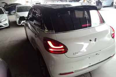 Wuling Bingo