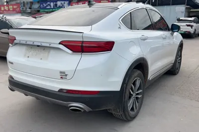 Geely Auto Monjaro