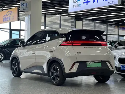 BYD Seagull