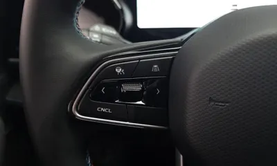 Renault-KoreaSamsung Grand Koleos