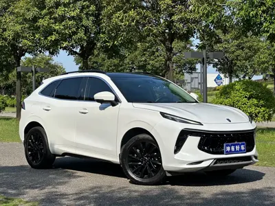 Fengxing Fengxing T5 EVO