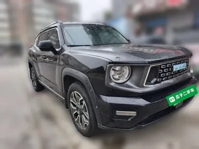 Haval H Dog New Energy