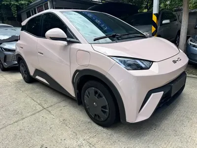 BYD Seagull