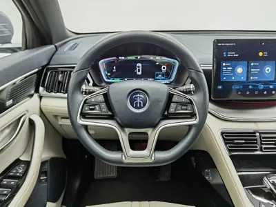 BYD PLUS New Energy