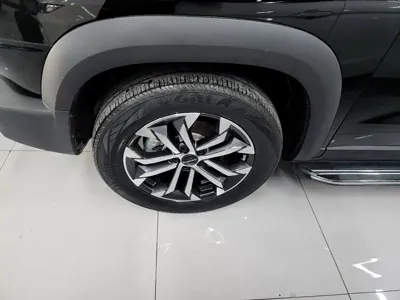 Haval Big Dog