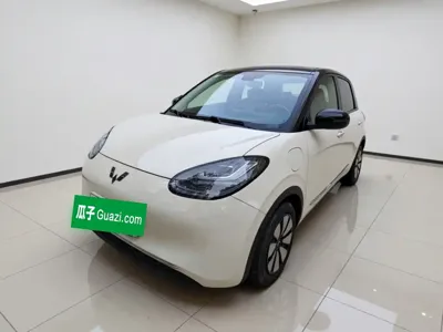 Wuling Bingo