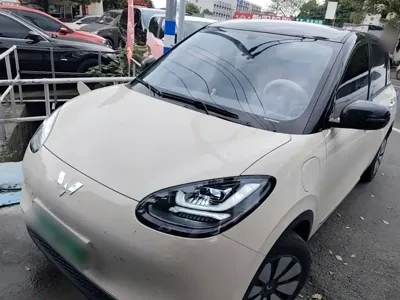Wuling Bingo