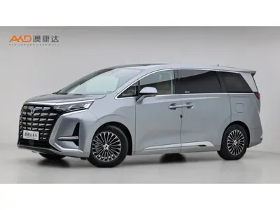 Denza Denza D9