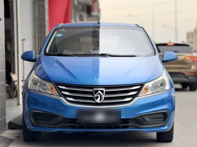 Baojun 310