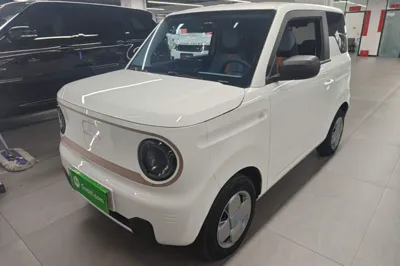 Geely Galaxy Panda