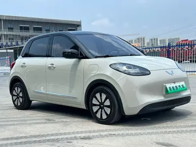 Wuling Bingo