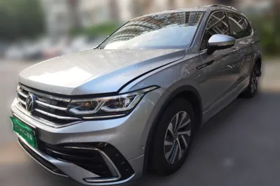 Volkswagen Tiguan L New Energy