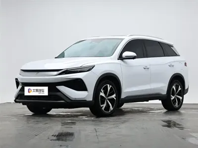 BYD Pro New Energy