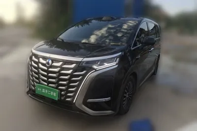Denza D9