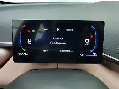 BYD Seagull