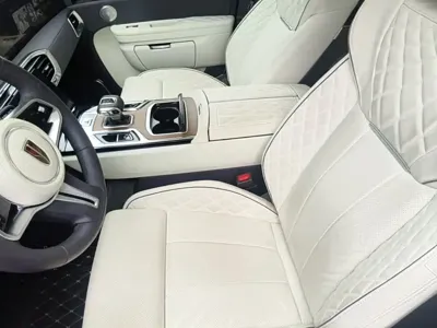 Hongqi Hongqi E-HS9