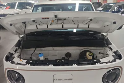 Geely Galaxy Panda
