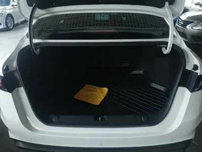 Geely Binrui