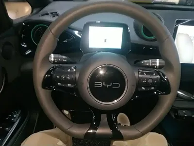 BYD Dolphin