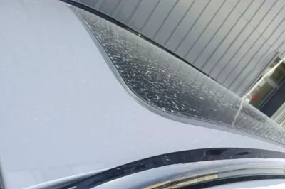 BYD Tang New Energy