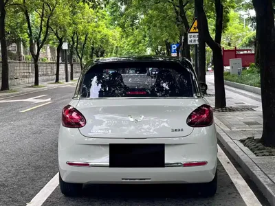 Wuling Bingo