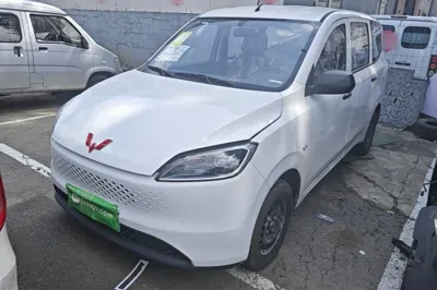 Wuling Hongguang New Energy