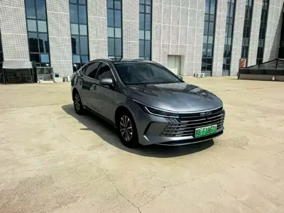 BYD Destroyer 05