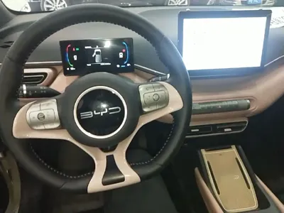 BYD Seagull