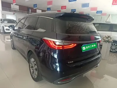 BYD MAX