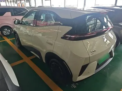 BYD Seagull