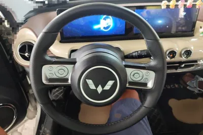 Wuling Bingo
