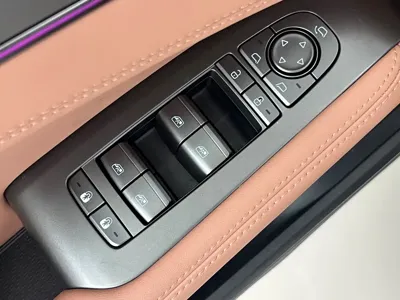 BYD L EV